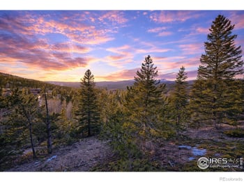 71 Pinecliff Trl, Nederland, CO 80466