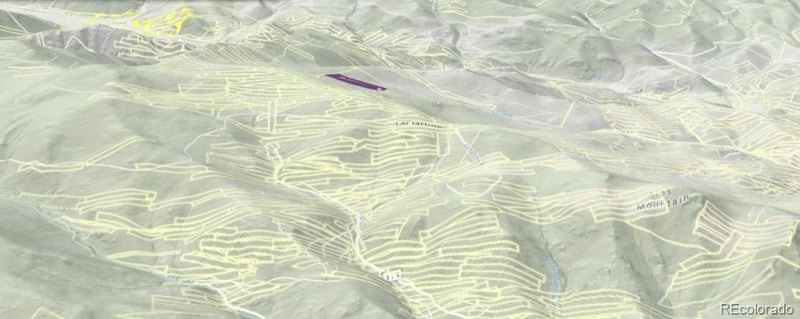 000 Silver Dollar Lode, Georgetown, CO 80444