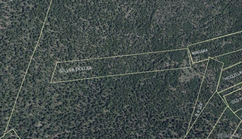 000 Silver Dollar Lode, Georgetown, CO 80444