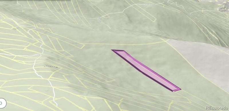 000 Silver Dollar Lode, Georgetown, CO 80444