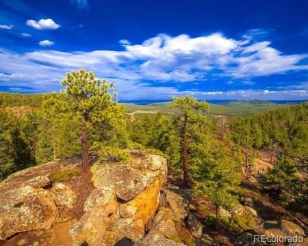 Tallberg Ln, Conifer, CO 80433