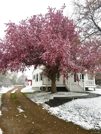 2830 67th Pl, Denver, CO 80221