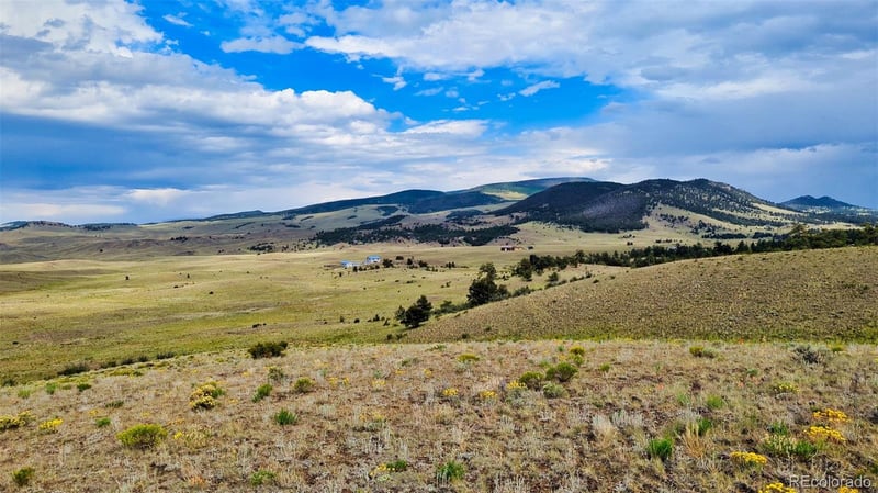 631 Dwyer Trl, Hartsel, CO 80449