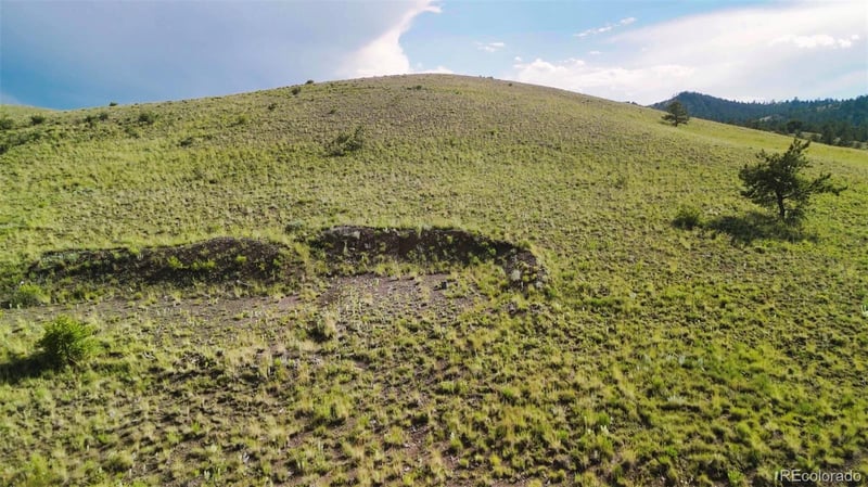 631 Dwyer Trl, Hartsel, CO 80449