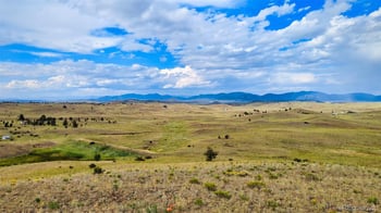 631 Dwyer Trl, Hartsel, CO 80449