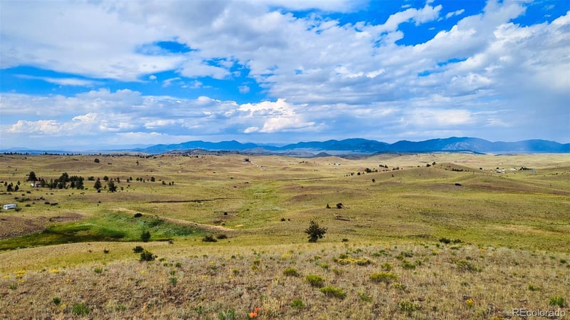 631 Dwyer Trl, Hartsel, CO 80449