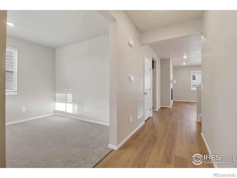 1629 Yampa River Dr, Windsor, CO 80550