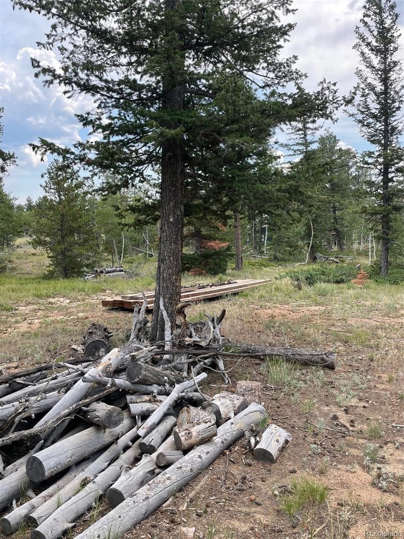 247 Sutiki Dr, Red Feather Lakes, CO 80545
