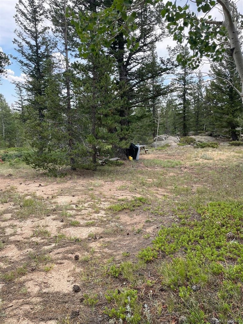 247 Sutiki Dr, Red Feather Lakes, CO 80545