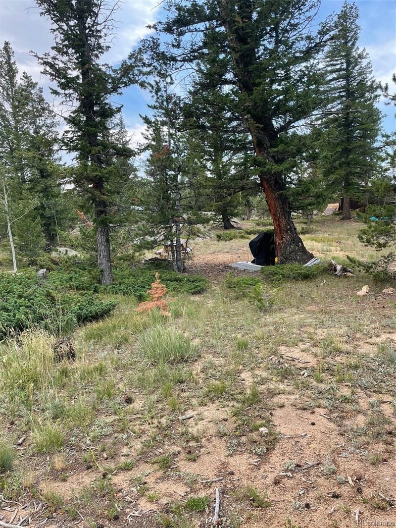 247 Sutiki Dr, Red Feather Lakes, CO 80545