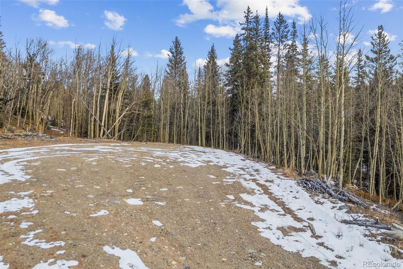 131 Aspen St Lot 26, Alma, CO 80420