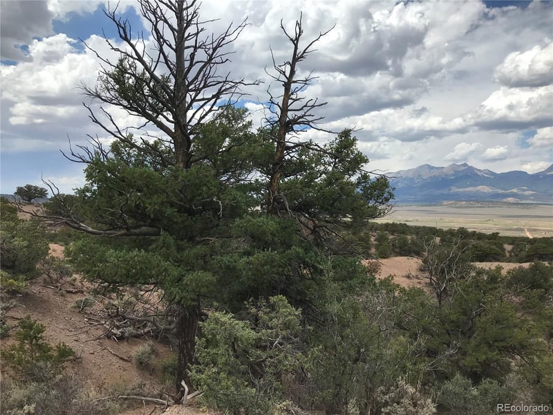 111 Mitchell Rd, Fort Garland, CO 81133