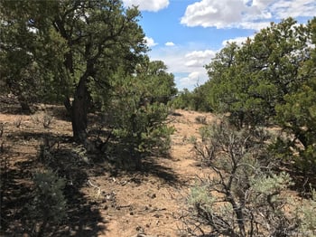 111 Slegers Cir, Fort Garland, CO 81133