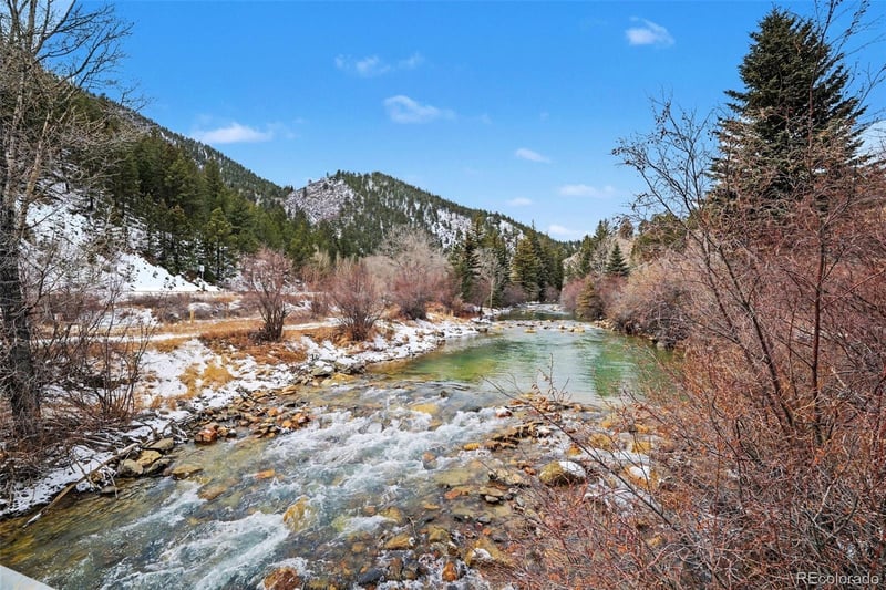167 E Cline Dr, Shawnee, CO 80475