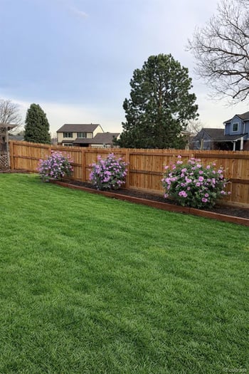 6392 Newland Ct, Littleton, CO 80123