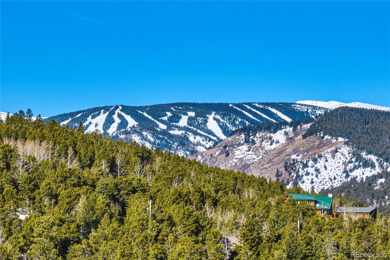 71 Pinecliff Trl, Nederland, CO 80466