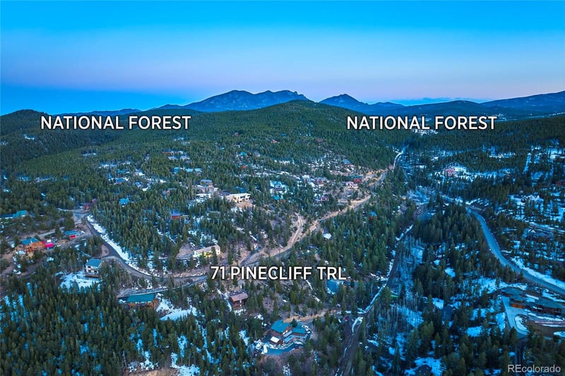 71 Pinecliff Trl, Nederland, CO 80466