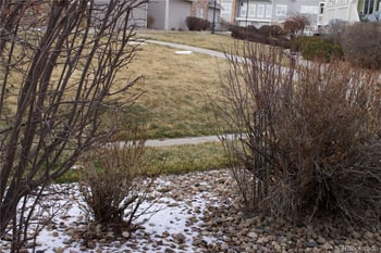 9350 Amison Cir #103, Parker, CO 80134