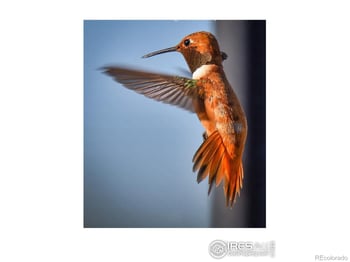 555 James Park Trl, Loveland, CO 80537