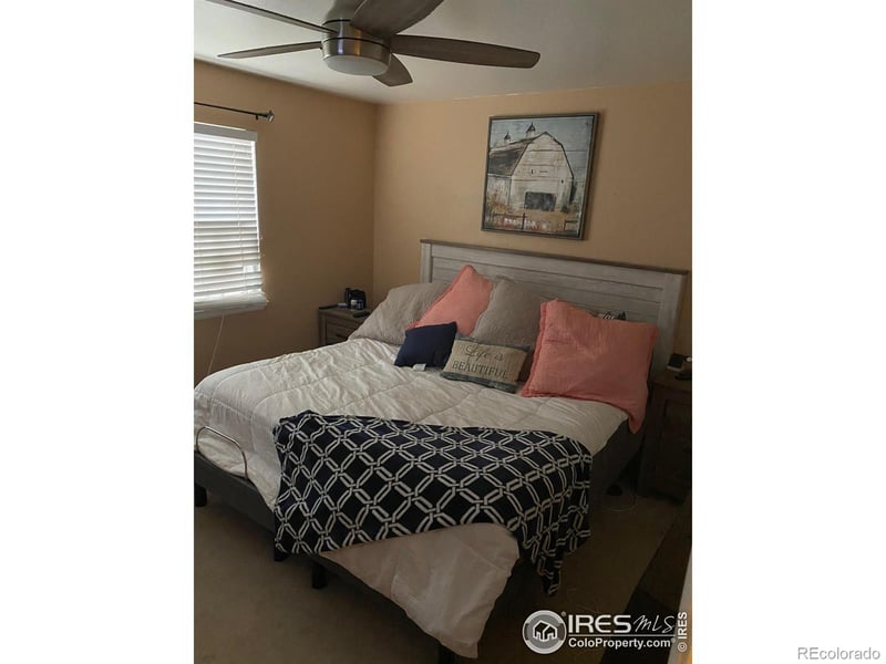320 Lilac St, Milliken, CO 80543