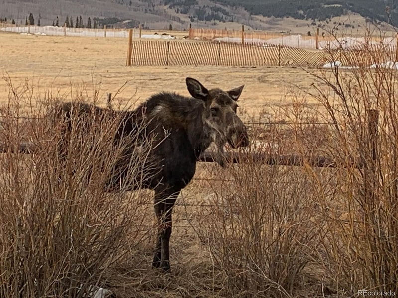 Michigan Hill Rd, Jefferson, CO 80456