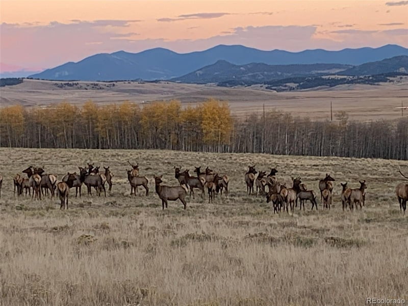 Michigan Hill Rd, Jefferson, CO 80456