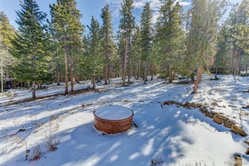 189 Hard Way Rd, Ward, CO 80481