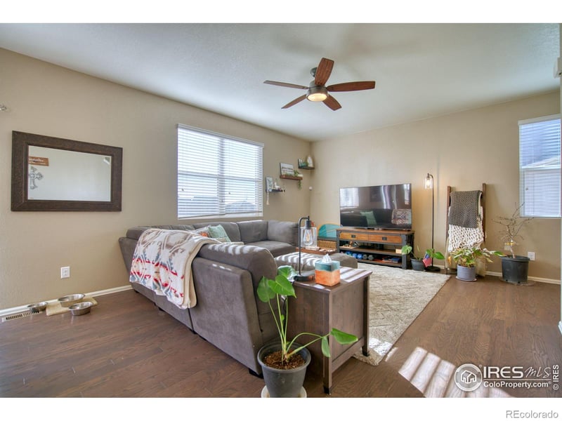 909 Charlton Dr, Windsor, CO 80550