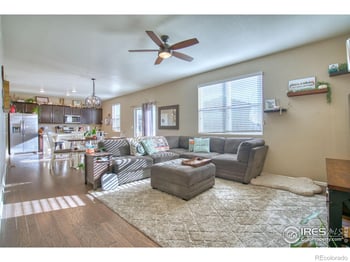 909 Charlton Dr, Windsor, CO 80550