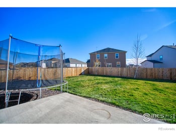 909 Charlton Dr, Windsor, CO 80550