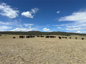 3255 Ranch Rd, Hartsel, CO 80449