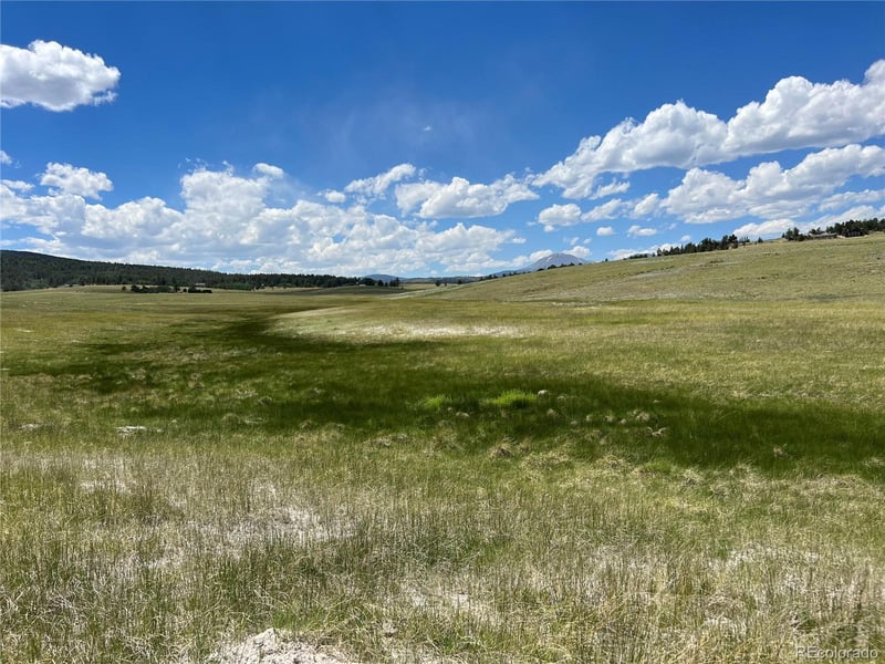 3255 Ranch Rd, Hartsel, CO 80449