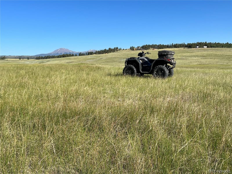 3255 Ranch Rd, Hartsel, CO 80449