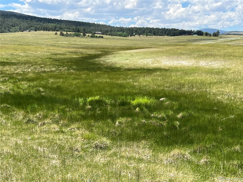 3255 Ranch Rd Lot 11, Hartsel, CO 80449