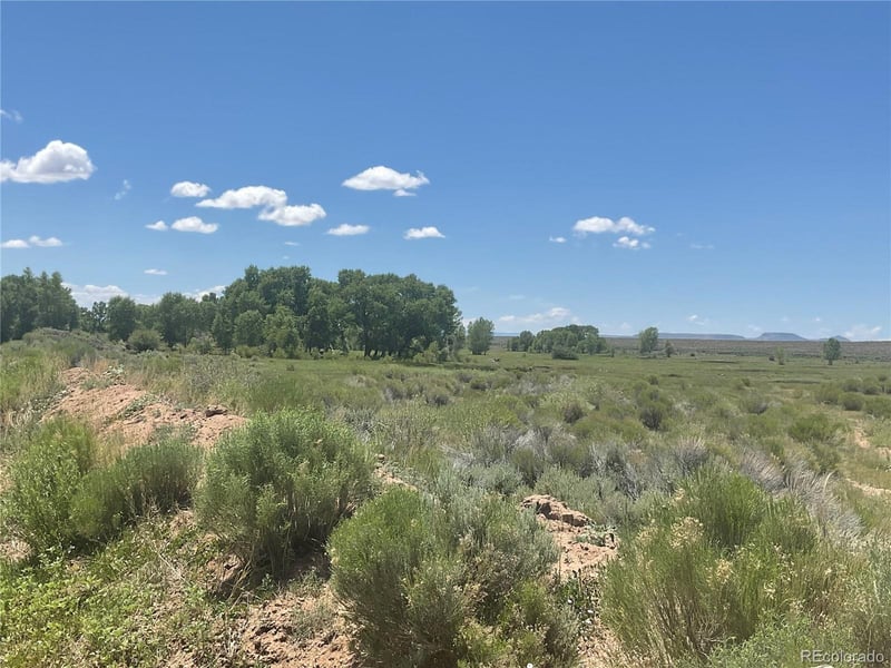 Lot County Rd 10, San Luis, CO 81152