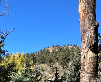 Lot 1 Co Rd 358, Westcliffe, CO 81252