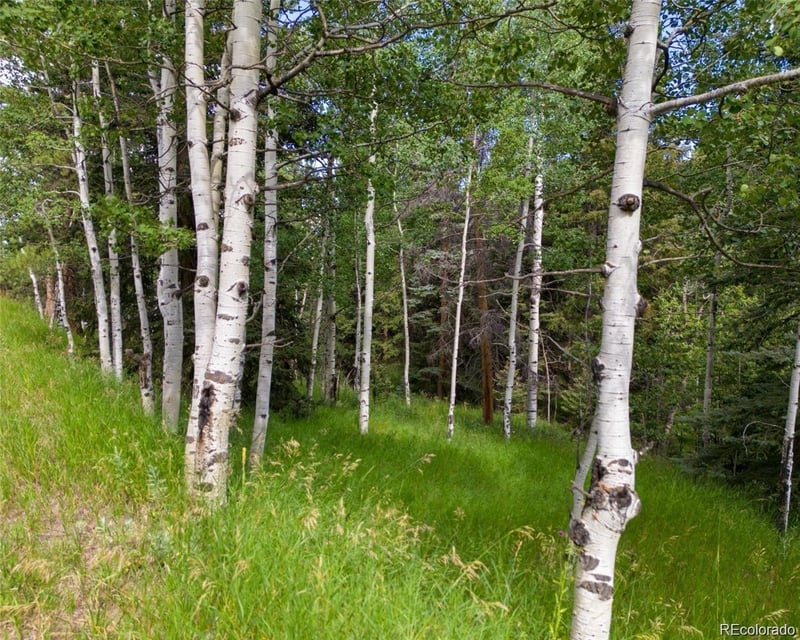 28380 Pine Trl, Conifer, CO 80433