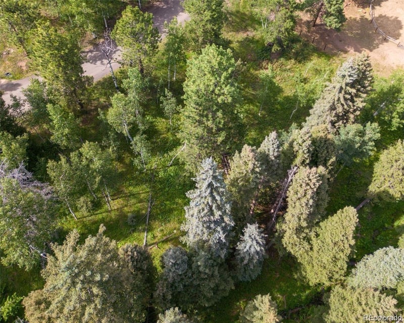 28380 Pine Trl, Conifer, CO 80433