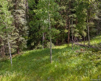 28380 Pine Trl, Conifer, CO 80433