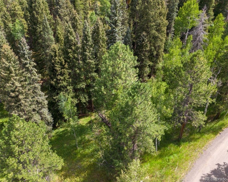 28380 Pine Trl, Conifer, CO 80433