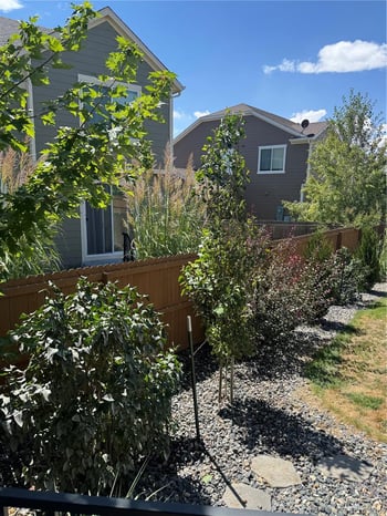 3964 Alamosa Ct, Brighton, CO 80601