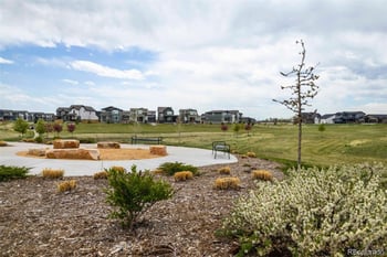 5789 Champlain Dr, Timnath, CO 80547