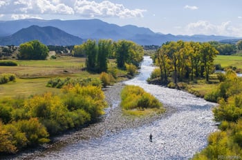 10795 County Road 197a, Nathrop, CO 81236