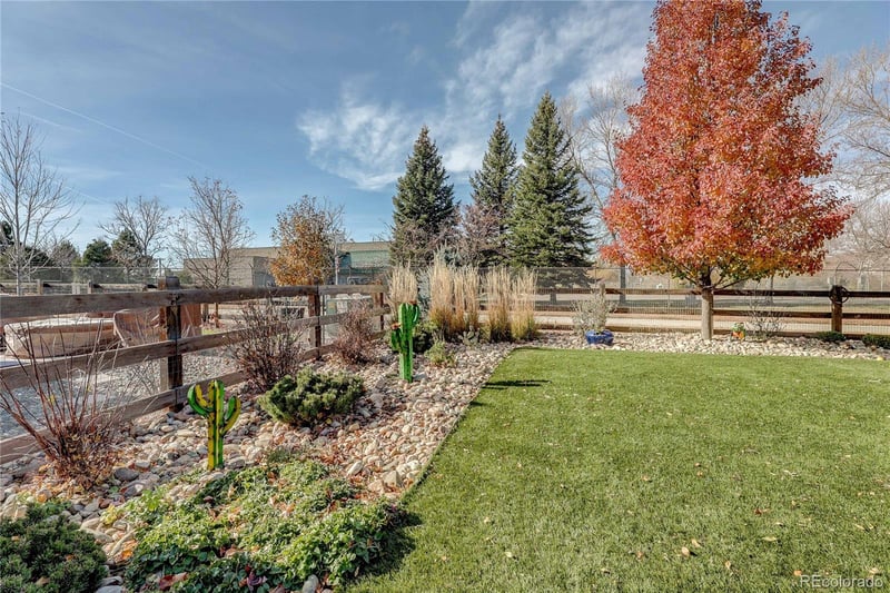 1032 Marfell St, Erie, CO 80516