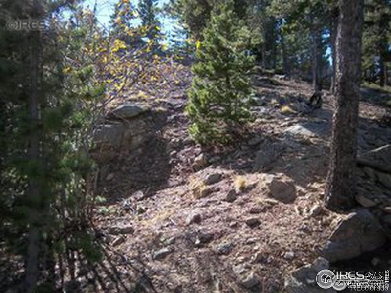 11717 Coal Creek Heights Dr, Golden, CO 80403