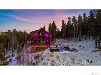 172 Saint Vrain Trl, Ward, CO 80481