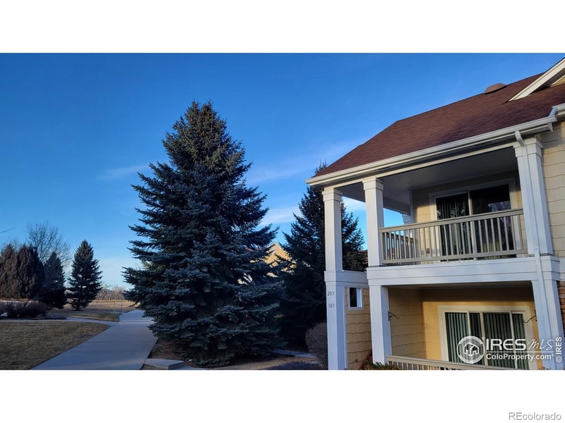 4635 Hahns Peak Dr #203, Loveland, CO 80538