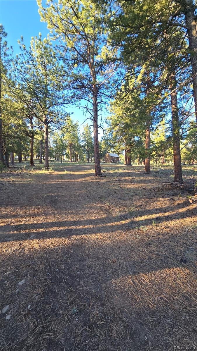 Chubb Ct, Buena Vista, CO 81211