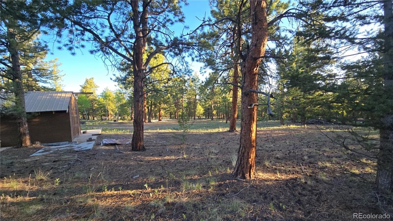 Chubb Ct, Buena Vista, CO 81211