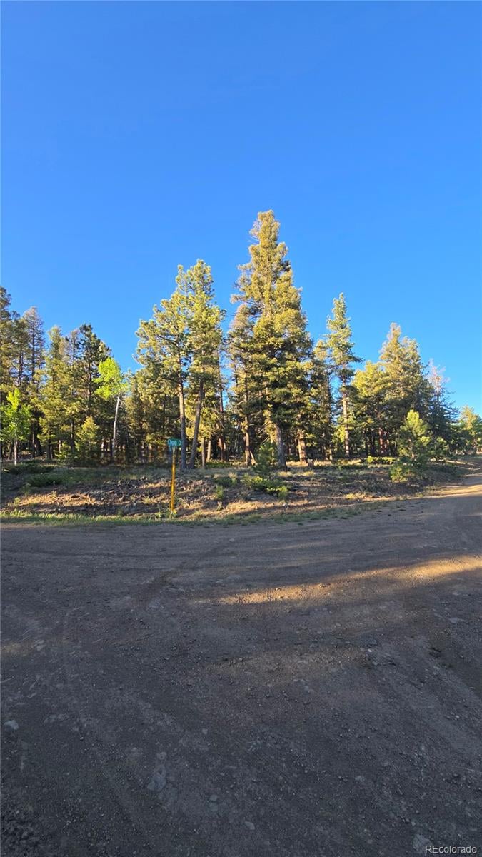 Chubb Ct, Buena Vista, CO 81211